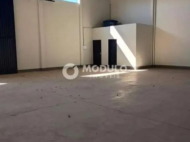Galpão aluguel em Dona Zulmira, Uberlândia