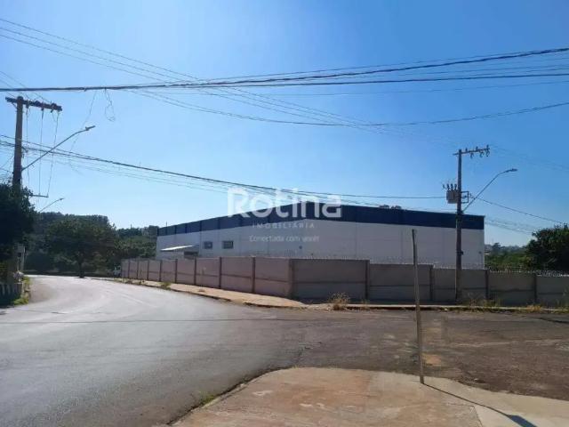 Galpão aluguel em Região Geográfica Imediata de Uberlândia, Oliveira Fortes