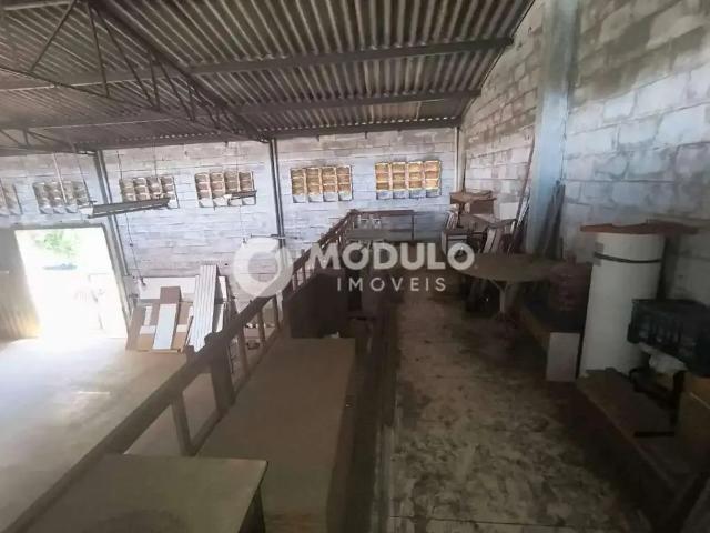 Galpão aluguel em Região Geográfica Imediata de Uberlândia, Oliveira Fortes