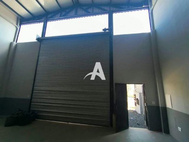 Galpão aluguel em Setor Sul, Uberlândia