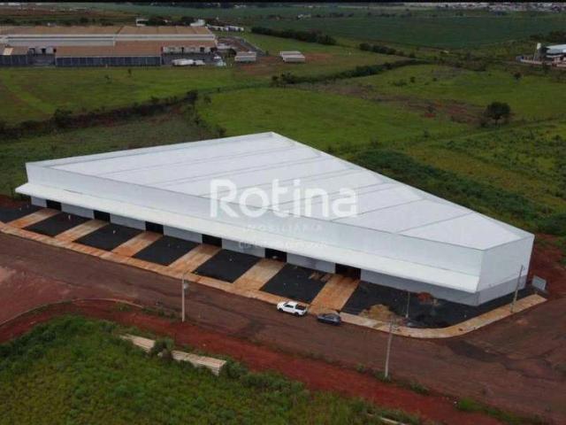 Galpão aluguel em Setor Sul, Uberlândia