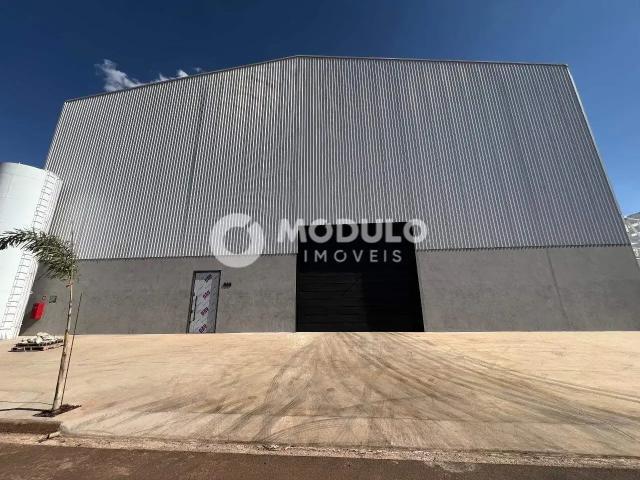 Galpão aluguel em Setor Central, Uberlândia