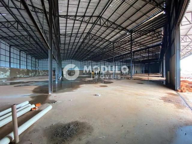 Galpão aluguel em Região Geográfica Imediata de Uberlândia, Oliveira Fortes