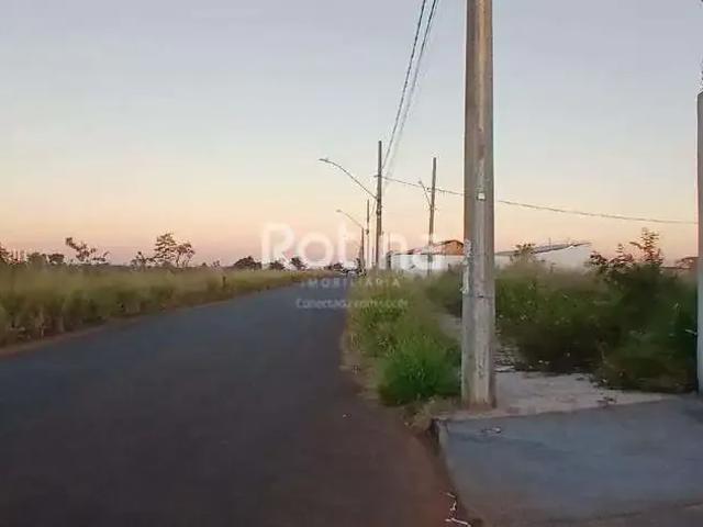 Galpão aluguel em Região Geográfica Imediata de Uberlândia, Oliveira Fortes
