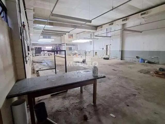 Galpão aluguel em Região Geográfica Imediata de Uberlândia, Oliveira Fortes