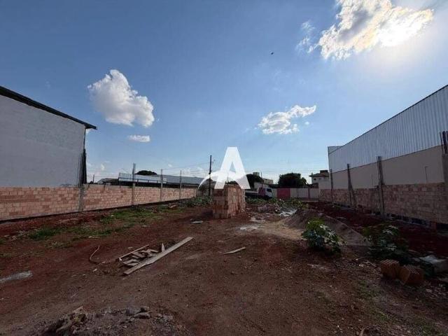 Galpão aluguel em Segismundo Pereira, Uberlândia