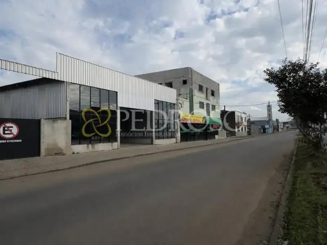 Galpão aluguel em São Bernardo, União da Vitória