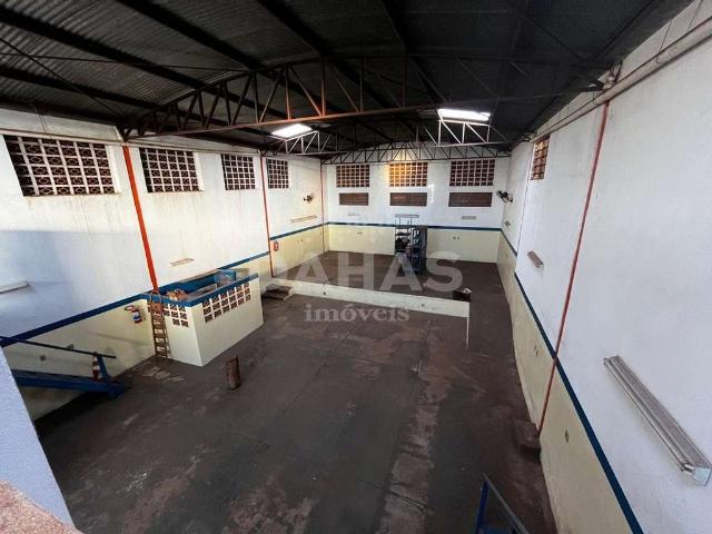 Galpão venda em Região Imediata de Barretos, Barretos