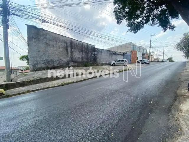 Galpão venda em Região Geográfica Imediata de Belo Horizonte, Região Metropolitana de Belo Horizonte