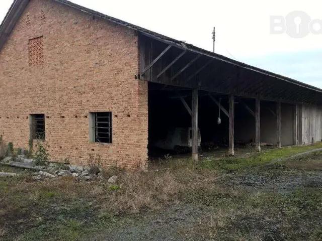 Galpão venda em Região Geográfica Imediata de Blumenau, Blumenau