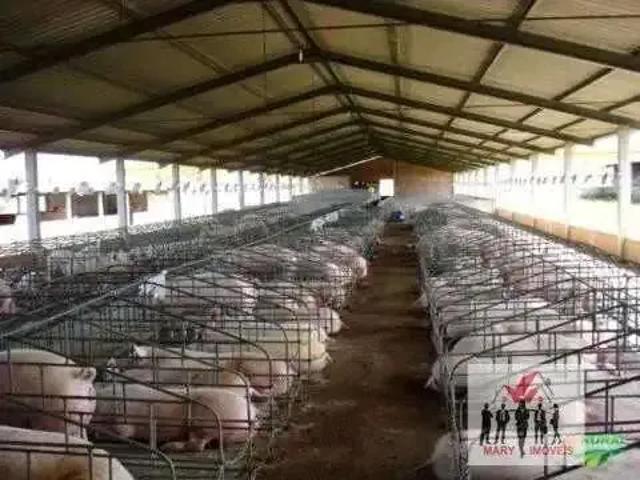 Galpão venda em Região Geográfica Imediata do Distrito Federal, Região Integrada de Desenvolvimento do Distrito Federal e Entorno