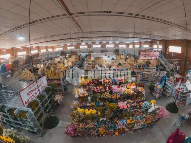 Galpão venda em Região Geográfica Imediata de Brusque, Brusque