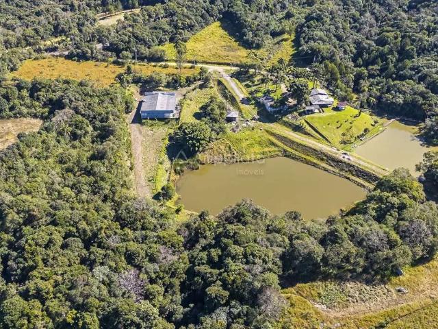 Galpão venda em Campina Grande do Sul, Região Geográfica Intermediária de Curitiba