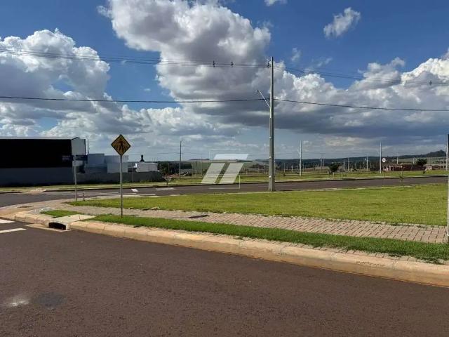Galpão venda em Região Geográfica Imediata de Cascavel, Cascavel
