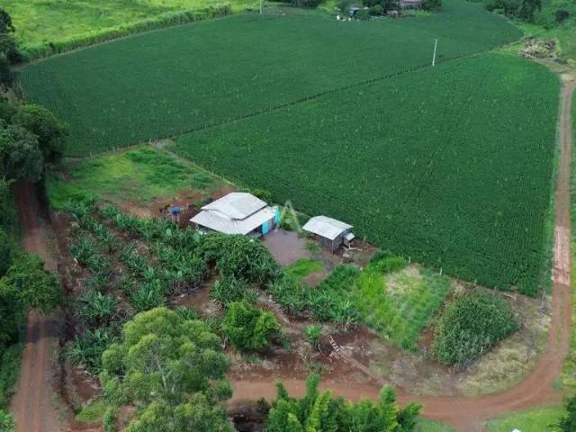 Galpão venda em Região Geográfica Imediata de Cascavel, Cascavel