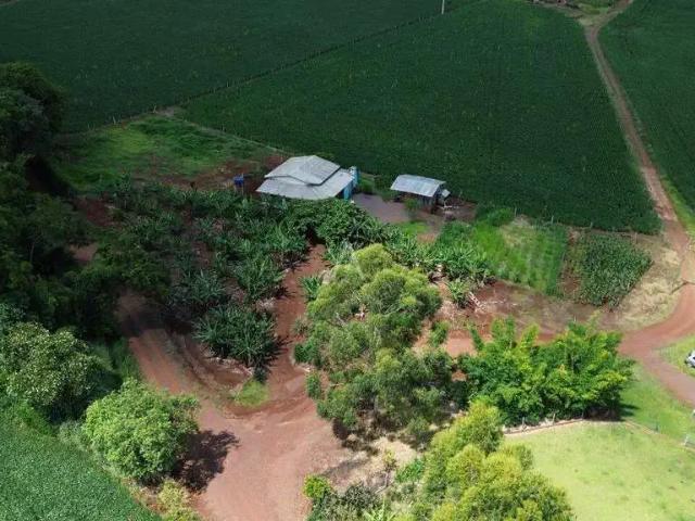 Galpão venda em Região Geográfica Imediata de Cascavel, Cascavel