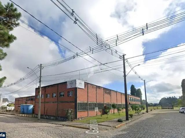 Galpão venda em Região Geográfica Imediata de Caxias do Sul, Farroupilha