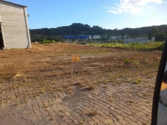 Galpão venda em Região Geográfica Imediata de Caxias do Sul, Farroupilha