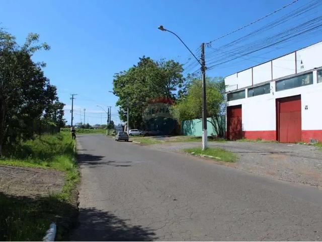 Galpão venda em Gravataí