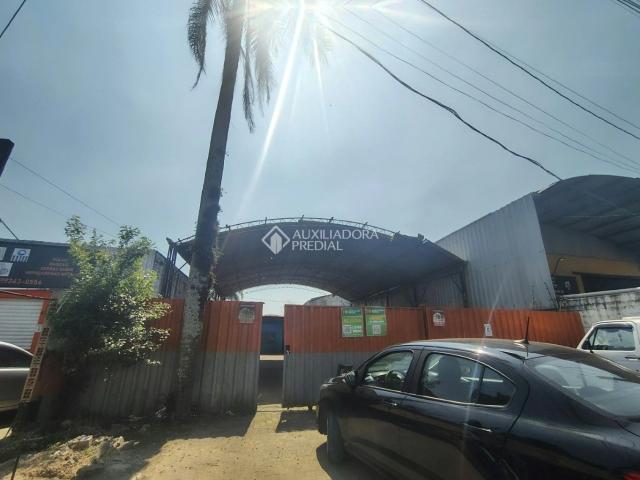 Galpão venda em Gravataí