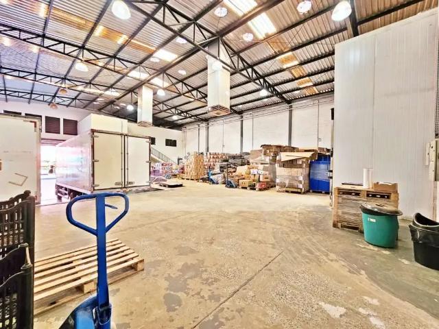 Galpão venda em Região Imediata de Ribeirão Preto, Região Metropolitana de Ribeirão Preto