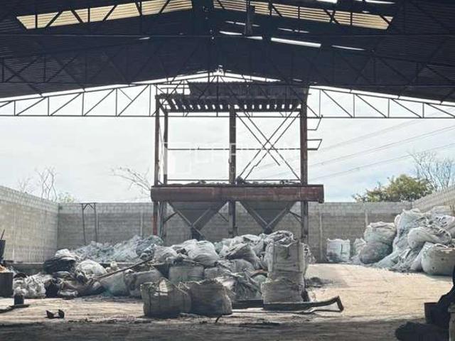 Galpão venda em Região Imediata de Ribeirão Preto, Região Metropolitana de Ribeirão Preto