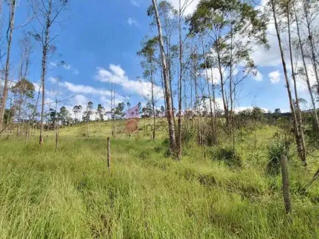 Galpão venda em Jarinu