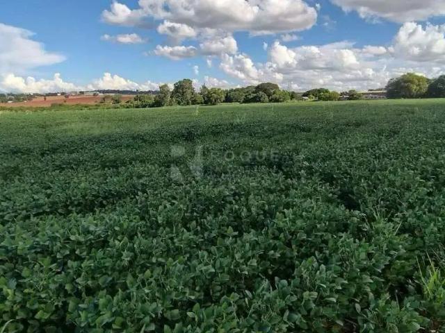 Galpão venda em Região Imediata de Limeira, Região Metropolitana de Piracicaba
