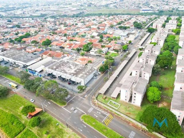 Galpão venda em Região Geográfica Imediata de Londrina, Londrina
