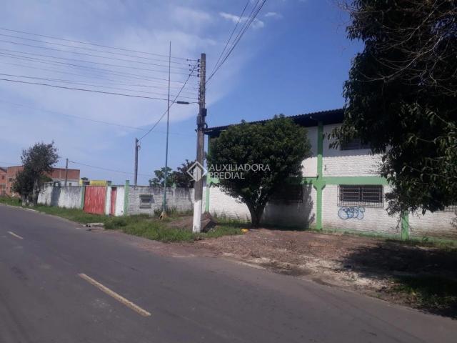 Galpão venda em Caravagio, Osório