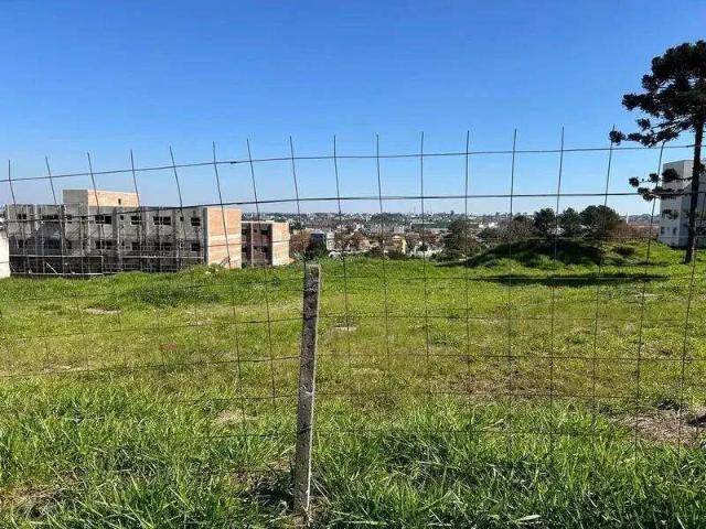 Galpão venda em Região Geográfica Imediata de Curitiba, Região Metropolitana de Curitiba
