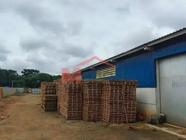 Galpão venda em Região Geográfica Imediata de Ponta Grossa, Ponta Grossa