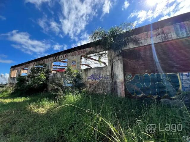 Galpão venda em Região Geográfica Imediata de Ponta Grossa, Ponta Grossa