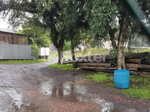 Galpão venda em Região Geográfica Imediata de Porto Alegre, Região Metropolitana de Porto Alegre