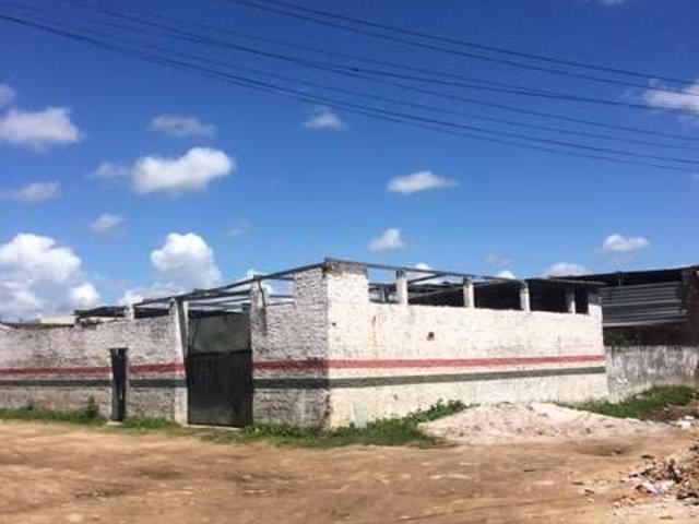 Galpão venda em Recife, Mangueira