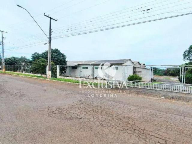 Galpão venda em Região Geográfica Imediata de Londrina, Rolândia