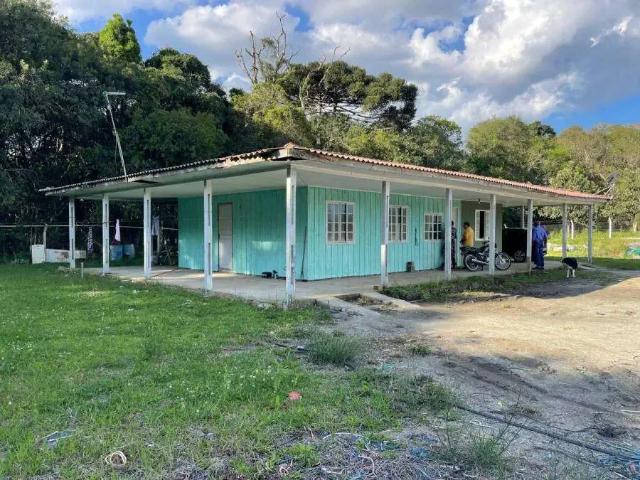 Galpão venda em Região Geográfica Imediata de Curitiba, Região Metropolitana de Curitiba
