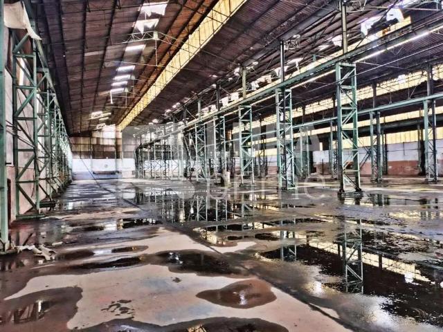 Galpão venda em Região Imediata de São Paulo, Região Metropolitana de São Paulo