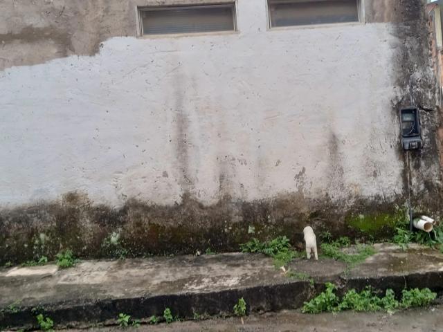 Galpão venda em Vila São Cristóvão, Salvador