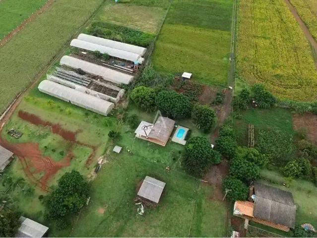 Galpão venda em Região Geográfica Imediata de Cascavel, Santa Tereza do Oeste