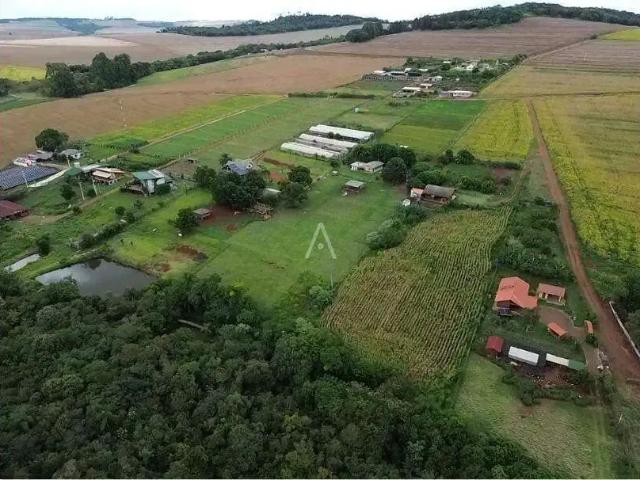 Galpão venda em Região Geográfica Imediata de Cascavel, Santa Tereza do Oeste