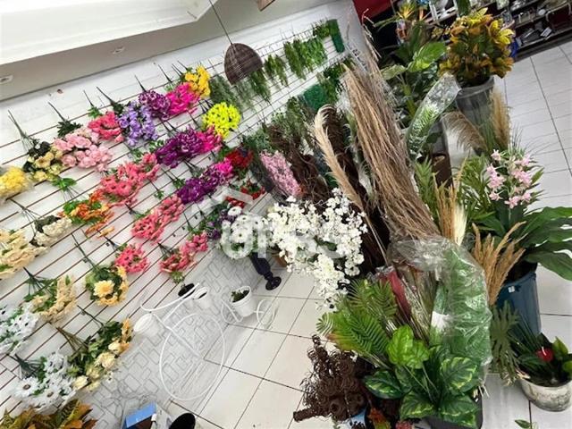 Galpão venda em Setor Central, Uberlândia