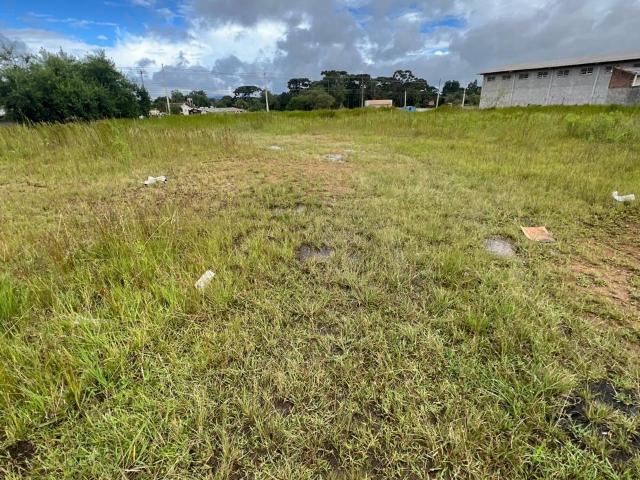 Galpão venda em Região Geográfica Imediata de Curitiba, Região Metropolitana de Curitiba