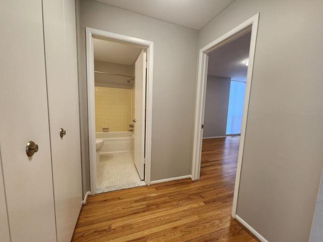 Apartment for rent in Royal Oak, Michigan