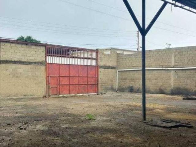 Propiedad en alquiler en Amazonas