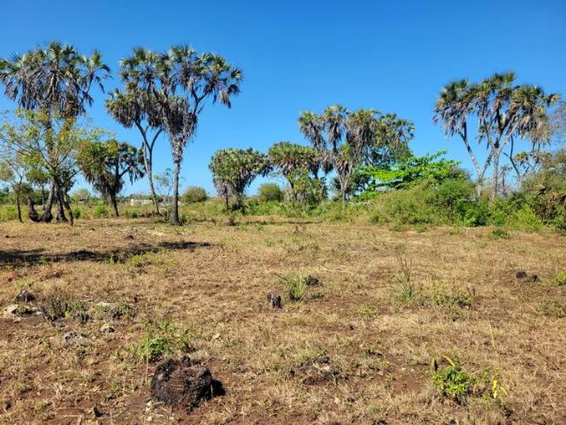 Land for sale in Diani, Kwale