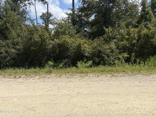 Land for sale in Florida