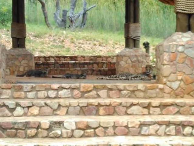 Property for sale in Belabela, Limpopo