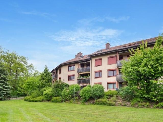Immobilie kaufen in Berikon, Aargau
