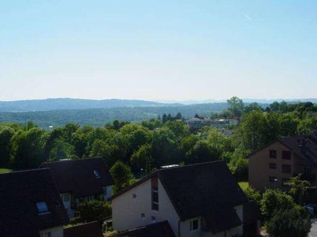 Immobilie kaufen in Berikon, Aargau